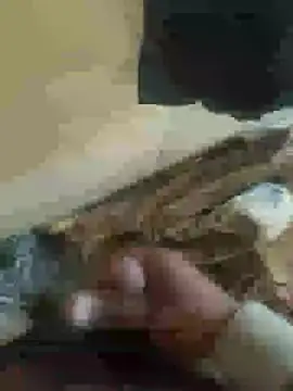 chinchi online show from January 2025 10:04:02 AM