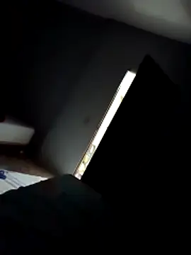 Snapshot of Wersonsantos chatting on February 2026 12:09:02 AM Wersonsantos online show from February 2026 12:09:02 AM