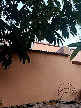 carria homes online show from January 2025 12:43:01 PM