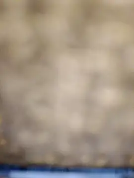 618fuckupp online show from October 2025 11:25:01 AM