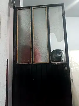 chinoxxx online show from April 2026 05:21:02 PM