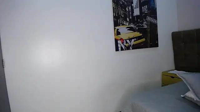 RyanPricee online show from January 2025 11:11:01 PM