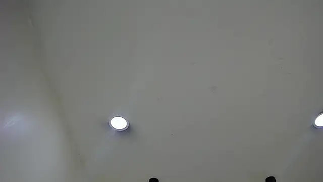 RyanPricee online show from January 2025 11:21:02 PM