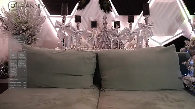 taanni bc online show from January 2025 01:48:01 AM