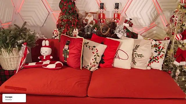 taanni bc online show from January 2026 07:39:02 PM