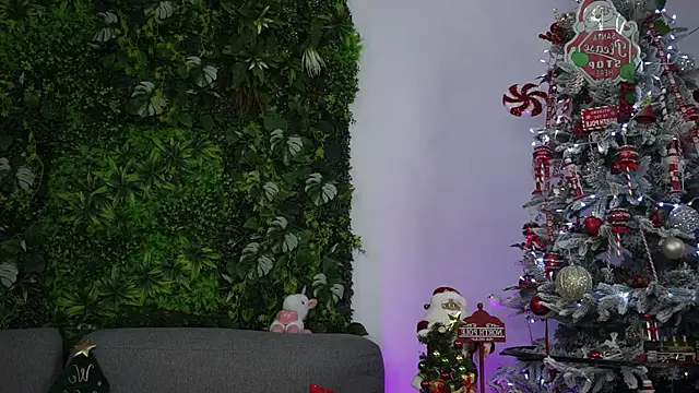 amiraroshen online show from December 2025 08:06:01 PM