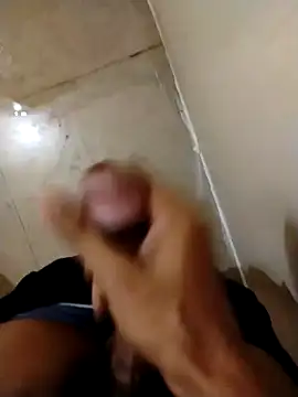 Snapshot of Kingxey chatting on January 2025 08:54:02 AM Kingxey online show from January 2025 08:54:02 AM