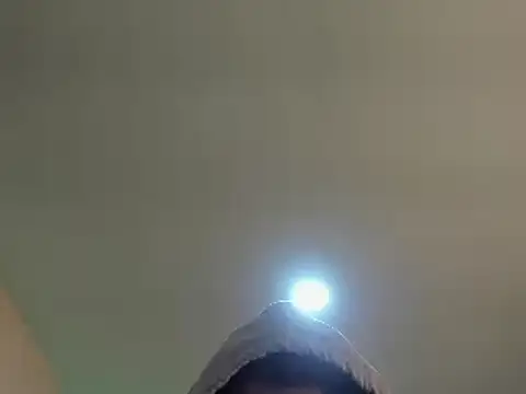 Chaos Wild online show from March 2025 05:26:02 PM