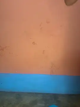 Lovely-Shivani online show from March 2025 07:17:01 PM