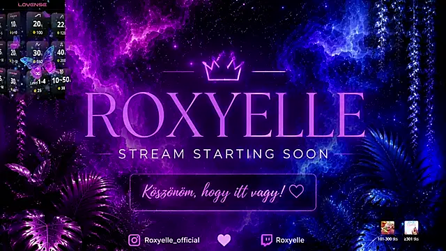 Snapshot of roxyyyrose chatting on July 2026 09:19:02 PM roxyyyrose online show from July 2026 09:19:02 PM