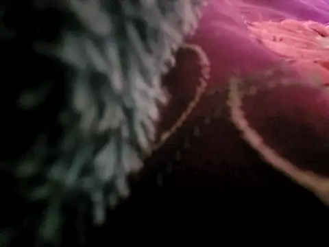 manterei2 online show from March 2025 07:04:02 PM