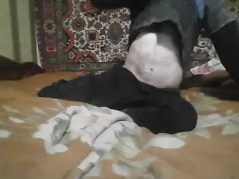 AlferezzSolvajo online show from March 2025 05:34:02 PM