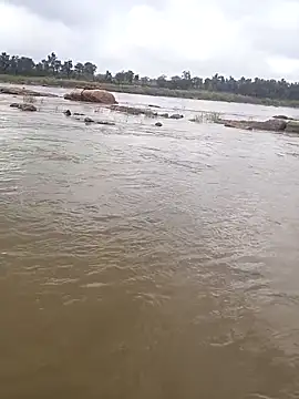 aryan 8051 online show from October 2025 05:31:02 AM