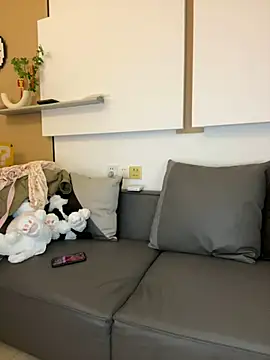 csck2025 online show from February 2025 11:41:02 AM