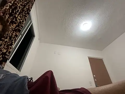 SeuSub online show from January 2025 03:42:01 AM