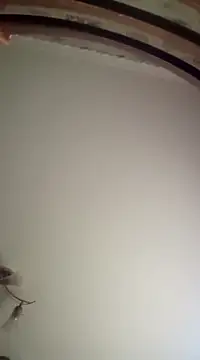 Lauren Amabel online show from March 2025 07:04:02 AM