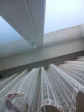 Lauren Amabel online show from March 2026 01:46:02 PM