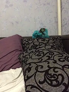 VikiiStoun online show from September 2025 06:08:01 PM