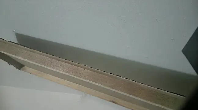 filthymind619 online show from January 2025 05:09:01 AM