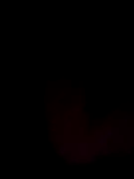 TOPMOON001 online show from January 2025 08:00:01 PM