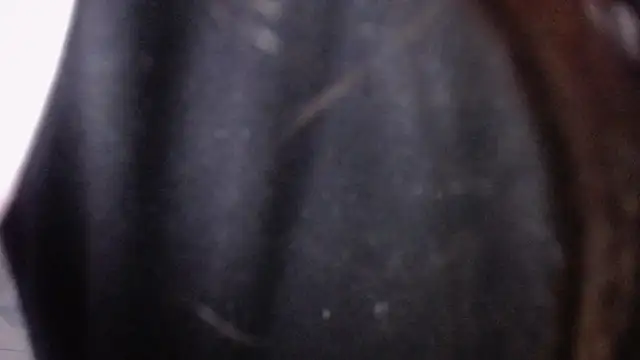 Sarita v  online show from February 2025 06:56:02 PM