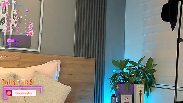 Snapshot of Elise-Leyton chatting on June 2026 06:14:01 PM Elise-Leyton online show from June 2026 06:14:01 PM
