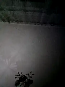 AlexKr95 online show from January 2025 06:57:02 PM