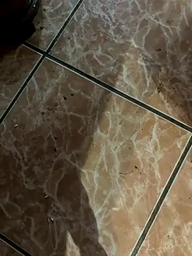 Lilymoonshow online show from September 2025 11:07:01 PM