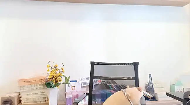 Snapshot of Lush-Office chatting on March 2025 07:57:01 AM Lush-Office online show from March 2025 07:57:01 AM