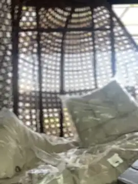 Miss  Melody online show from January 2025 01:54:01 PM