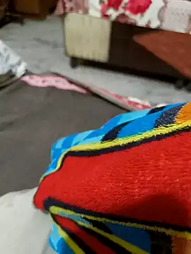 Snapshot of kaif_220 chatting on January 2025 01:17:01 PM kaif 220 online show from January 2025 01:17:01 PM