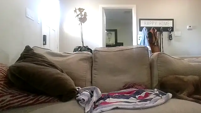 AcceptableForecast56 online show from February 2026 01:42:01 PM