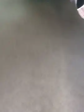 Nego8659 online show from January 2026 04:44:01 PM