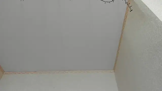 Browni Kiss online show from January 2025 07:49:01 AM