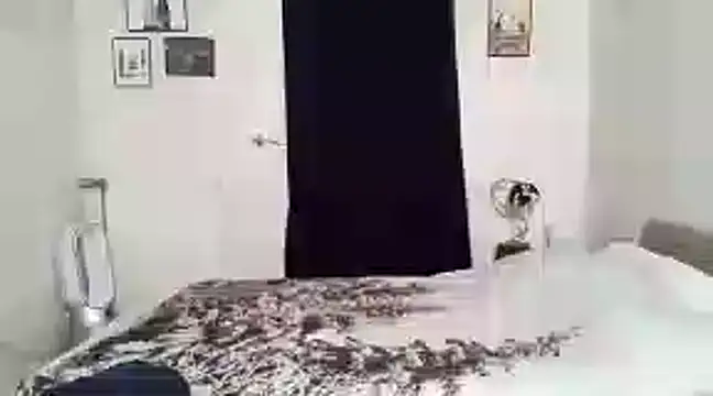 alexandrezeke online show from February 2025 10:37:02 AM