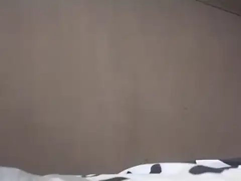 Chandy012 online show from March 2025 01:18:01 PM