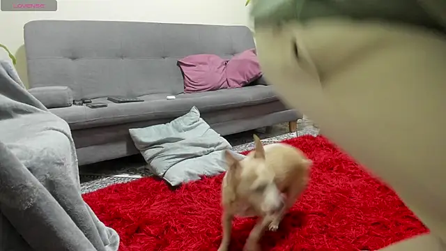 Salvatore costa online show from September 2025 12:34:01 AM