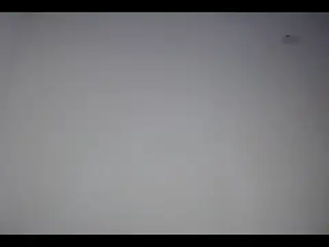 lana roman online show from March 2025 12:22:02 PM