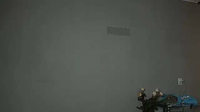 Eva Gloryy online show from October 2025 11:18:02 AM