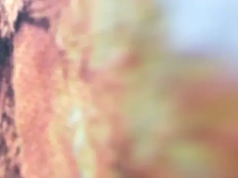 riri riri jp online show from December 2025 10:09:02 AM