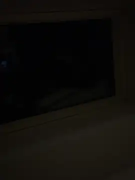 Snapshot of wyattstone chatting on February 2026 04:20:02 AM wyattstone online show from February 2026 04:20:02 AM