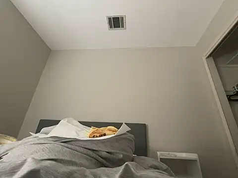 geld 88 online show from January 2025 05:37:02 PM