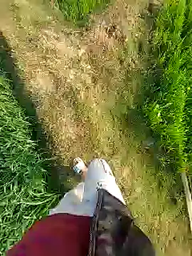 Extrembox5 online show from January 2025 03:17:01 AM