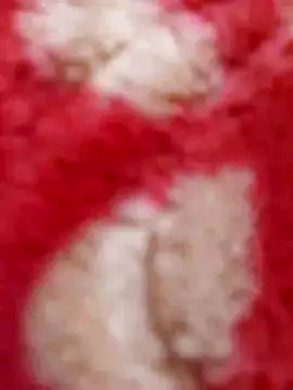 mhmia online show from February 2025 05:29:01 PM