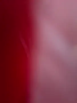 Snapshot of ALEXANDRA95 chatting on February 2025 04:44:02 AM ALEXANDRA95 online show from February 2025 04:44:02 AM