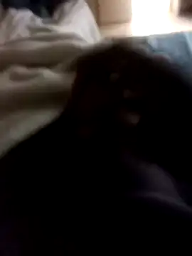 Sbu gold online show from January 2026 07:24:01 AM