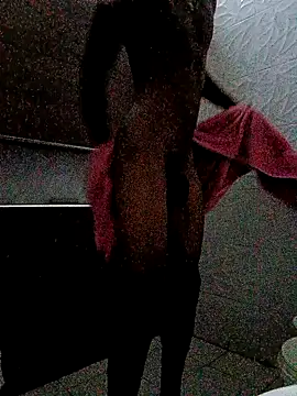 SlykaandpettterX online show from February 2025 11:17:01 PM