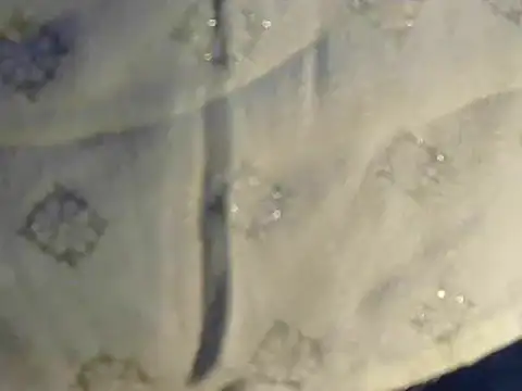 Cutie Pie1p online show from March 2025 08:34:02 AM