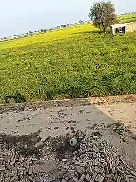 Snapshot of xmanrawan2 chatting on February 2025 10:57:01 AM xmanrawan2 online show from February 2025 10:57:01 AM