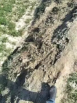 Snapshot of xmanrawan2 chatting on February 2025 07:29:02 AM xmanrawan2 online show from February 2025 07:29:02 AM